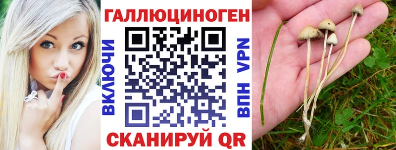 Псилоцибиновые грибы Psilocybine cubensis Бодайбо